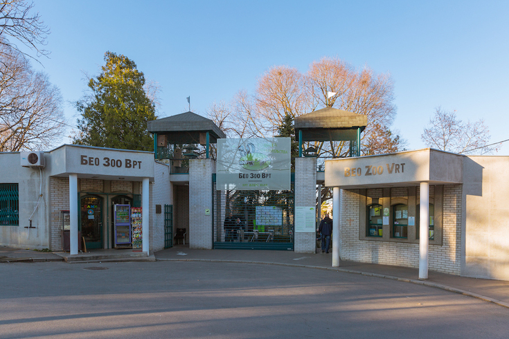 Vrt dobre nade: mesto koje je postalo dom neobičnih žitelja Beograda